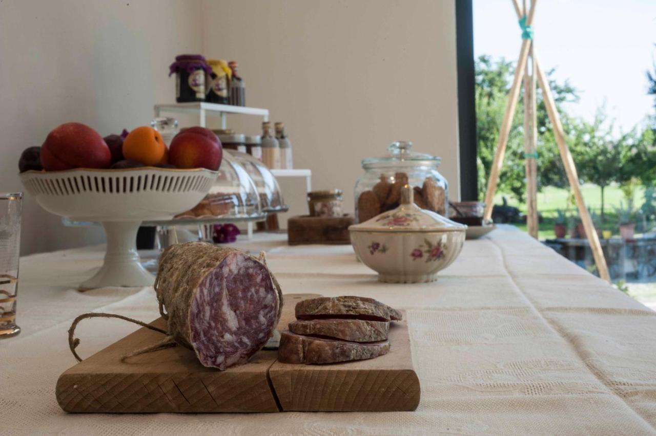 Le Ferrerie Agriturismo Fattoria Marchesini Praticello di Gattatico 外观 照片